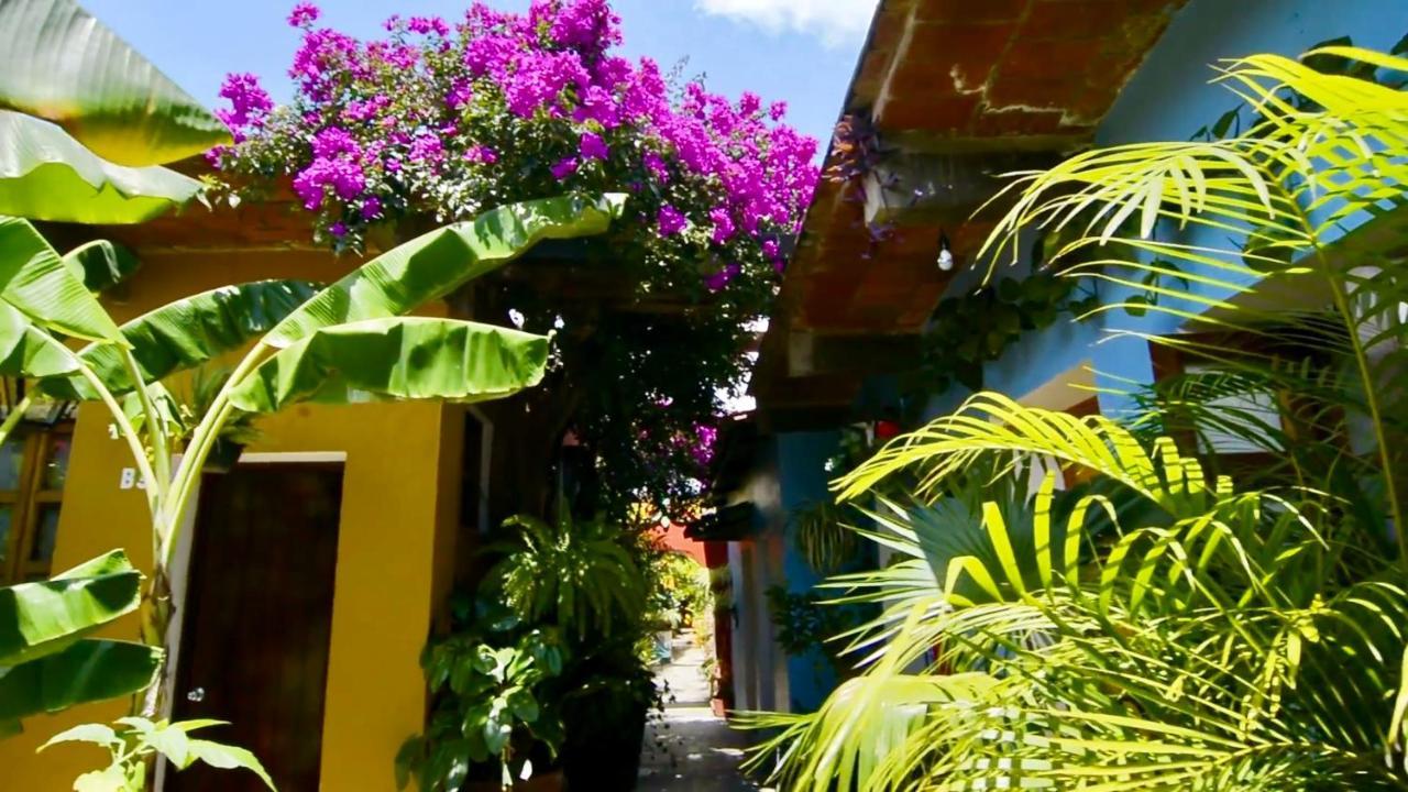 Hotel Las Golondrinas Oaxaca Exterior photo